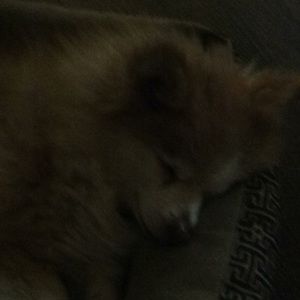 Meet your Posher, Kathryn